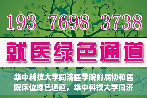 华中科技大学同济医学院附属协和医院床位绿色通道，华中科技大学同济医学院附属协和医院床位绿色通道解析与解读