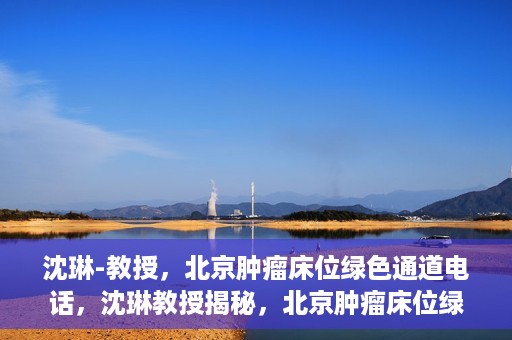 沈琳-教授，北京肿瘤床位绿色通道电话，沈琳教授揭秘，北京肿瘤床位绿色通道电话直达服务