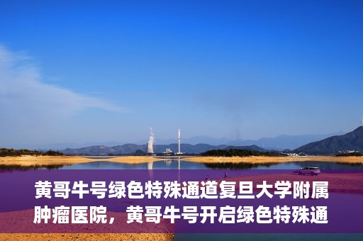 黄哥牛号绿色特殊通道复旦大学附属肿瘤医院，黄哥牛号开启绿色特殊通道，复旦大学附属肿瘤医院助力健康之路