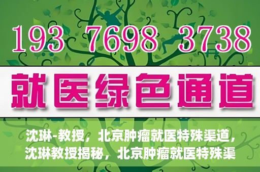 沈琳-教授，北京肿瘤就医特殊渠道，沈琳教授揭秘，北京肿瘤就医特殊渠道解析