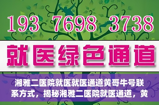 湘雅二医院就医就医通道黄哥牛号联系方式，揭秘湘雅二医院就医通道，黄哥牛号联系方式及就医指南