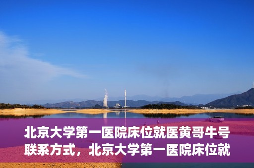 北京大学第一医院床位就医黄哥牛号联系方式，北京大学第一医院床位就医攻略，黄哥牛号联系方式全解析