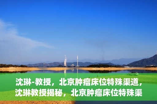 沈琳-教授，北京肿瘤床位特殊渠道，沈琳教授揭秘，北京肿瘤床位特殊渠道解析