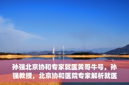 孙强北京协和专家就医黄哥牛号，孙强教授，北京协和医院专家解析就医新号黄哥牛号