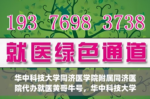 华中科技大学同济医学院附属同济医院代办就医黄哥牛号，华中科技大学同济医院就医黄哥牛号代办服务解析