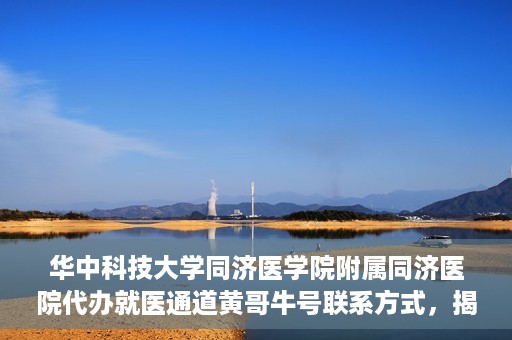 华中科技大学同济医学院附属同济医院代办就医通道黄哥牛号联系方式，揭秘黄哥牛号，同济医院就医通道代办联系方式与操作指南