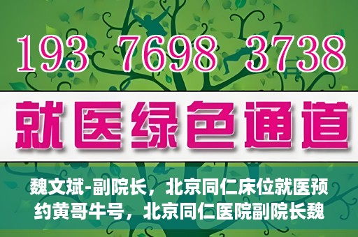 魏文斌-副院长，北京同仁床位就医预约黄哥牛号，北京同仁医院副院长魏文斌揭秘床位预约秘籍——黄哥牛号引领就医新风尚