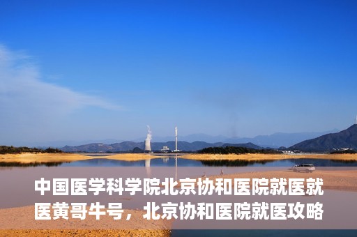 中国医学科学院北京协和医院就医就医黄哥牛号，北京协和医院就医攻略，黄哥牛号助您轻松挂号就医