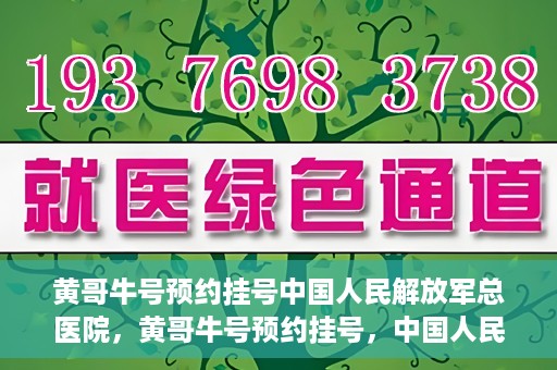 黄哥牛号预约挂号中国人民解放军总医院，黄哥牛号预约挂号，中国人民解放军总医院就医新体验