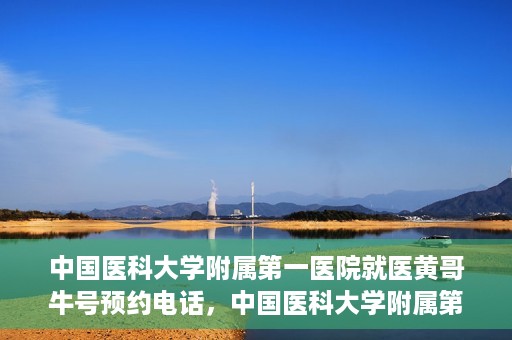 中国医科大学附属第一医院就医黄哥牛号预约电话，中国医科大学附属第一医院就医预约电话及黄哥牛号预约攻略