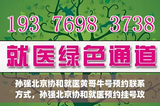 孙强北京协和就医黄哥牛号预约联系方式，孙强北京协和就医预约挂号攻略，黄哥牛号联系方式揭秘