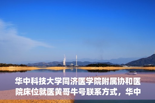 华中科技大学同济医学院附属协和医院床位就医黄哥牛号联系方式，华中科技大学同济医学院附属协和医院床位就医信息详解，黄哥牛号联系方式揭秘