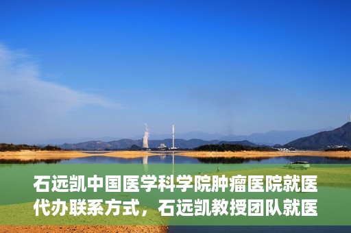 石远凯中国医学科学院肿瘤医院就医代办联系方式，石远凯教授团队就医咨询与代办服务联系方式——中国医学科学院肿瘤医院指南