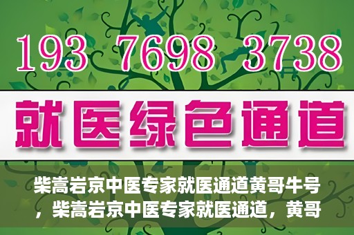 柴嵩岩京中医专家就医通道黄哥牛号，柴嵩岩京中医专家就医通道，黄哥牛号助您轻松预约专家号