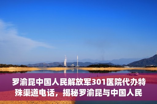 罗渝昆中国人民解放军301医院代办特殊渠道电话，揭秘罗渝昆与中国人民解放军301医院特殊渠道电话背后的故事