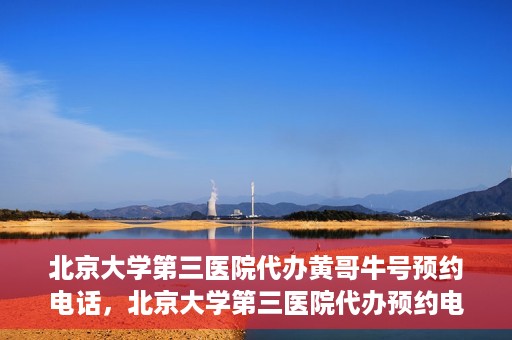 北京大学第三医院代办黄哥牛号预约电话，北京大学第三医院代办预约电话，黄哥牛号预约服务解析与指南