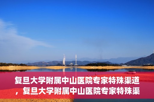 复旦大学附属中山医院专家特殊渠道，复旦大学附属中山医院专家特殊渠道解析与探讨