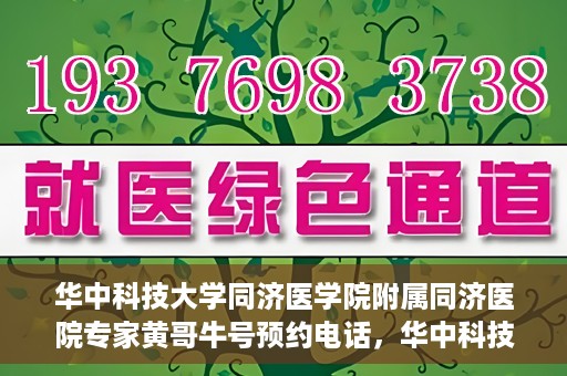 华中科技大学同济医学院附属同济医院专家黄哥牛号预约电话，华中科技大学同济医院专家黄哥牛号预约热线及咨询解析