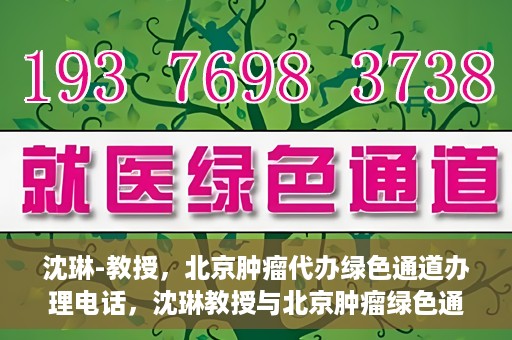 沈琳-教授，北京肿瘤代办绿色通道办理电话，沈琳教授与北京肿瘤绿色通道，快速办理电话指南