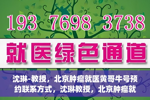 沈琳-教授，北京肿瘤就医黄哥牛号预约联系方式，沈琳教授，北京肿瘤就医预约攻略及黄哥牛号联系方式揭秘