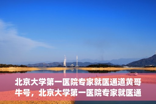 北京大学第一医院专家就医通道黄哥牛号，北京大学第一医院专家就医通道，黄哥牛号直通车