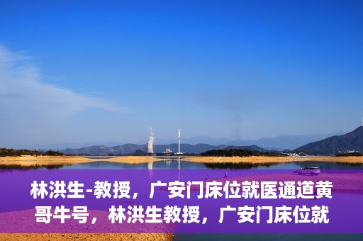 林洪生-教授，广安门床位就医通道黄哥牛号，林洪生教授，广安门床位就医绿色通道揭秘——黄哥牛号引领就医新纪元
