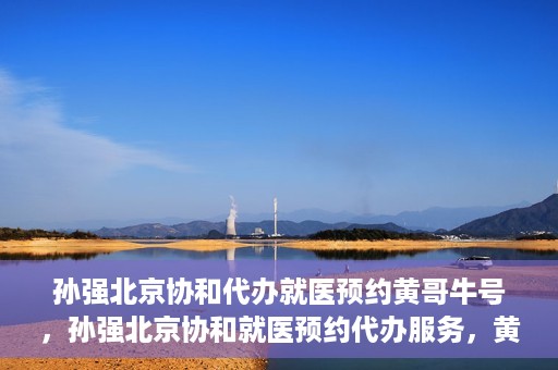 孙强北京协和代办就医预约黄哥牛号，孙强北京协和就医预约代办服务，黄哥牛号助您轻松挂号就医