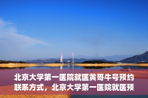 北京大学第一医院就医黄哥牛号预约联系方式，北京大学第一医院就医预约攻略，黄哥牛号预约联系方式揭秘