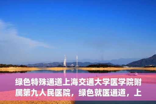 绿色特殊通道上海交通大学医学院附属第九人民医院，绿色就医通道，上海交通大学医学院附属第九人民医院的探索与实践