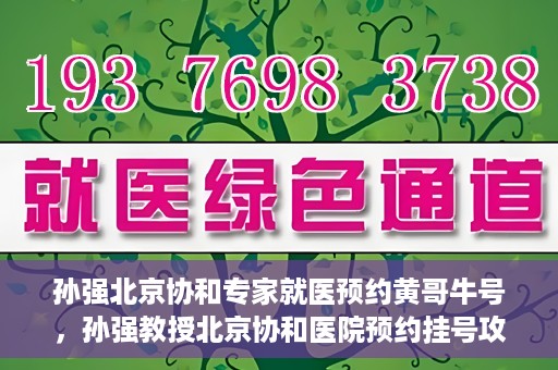 孙强北京协和专家就医预约黄哥牛号，孙强教授北京协和医院预约挂号攻略，黄哥牛号助您轻松就医