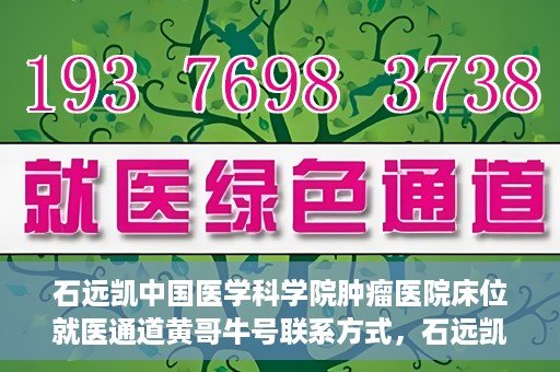 石远凯中国医学科学院肿瘤医院床位就医通道黄哥牛号联系方式，石远凯教授，中国医学科学院肿瘤医院床位就医指南与联系方式揭秘