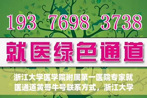浙江大学医学院附属第一医院专家就医通道黄哥牛号联系方式，浙江大学医学院附属第一医院专家就医通道，黄哥牛号联系方式全解析