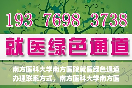 南方医科大学南方医院就医绿色通道办理联系方式，南方医科大学南方医院就医绿色通道办理指南，快速联系与办理方式解析