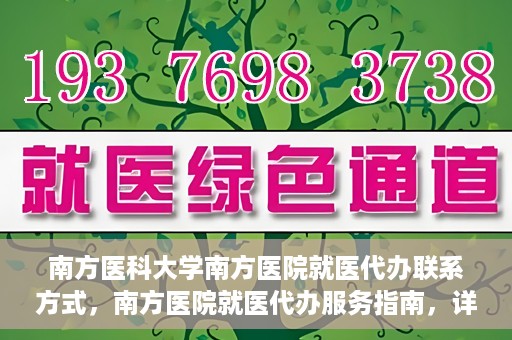 南方医科大学南方医院就医代办联系方式，南方医院就医代办服务指南，详细联系方式解析