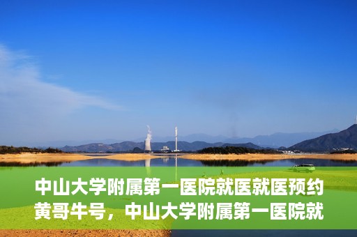 中山大学附属第一医院就医就医预约黄哥牛号，中山大学附属第一医院就医预约攻略，黄哥牛号助您轻松挂号就医