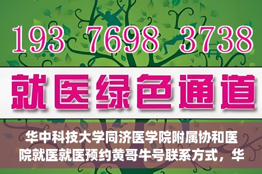 华中科技大学同济医学院附属协和医院就医就医预约黄哥牛号联系方式，华中科技大学同济医学院附属协和医院就医预约指南，黄哥牛号联系方式全解析