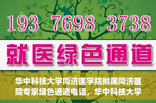 华中科技大学同济医学院附属同济医院专家绿色通道电话，华中科技大学同济医院专家绿色通道联系电话揭秘