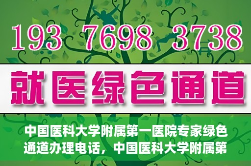 中国医科大学附属第一医院专家绿色通道办理电话，中国医科大学附属第一医院专家绿色通道服务热线电话揭秘