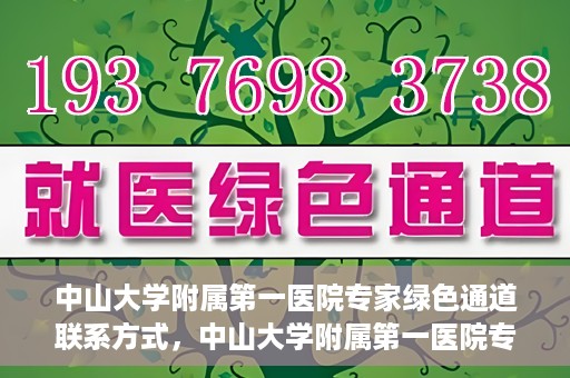 中山大学附属第一医院专家绿色通道联系方式，中山大学附属第一医院专家绿色通道联系指南，一站式解决您的健康需求