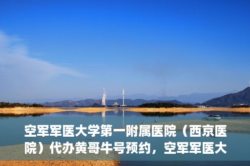 空军军医大学第一附属医院（西京医院）代办黄哥牛号预约，空军军医大学第一附属医院（西京医院）黄哥牛号预约详解，一站式便捷就医体验