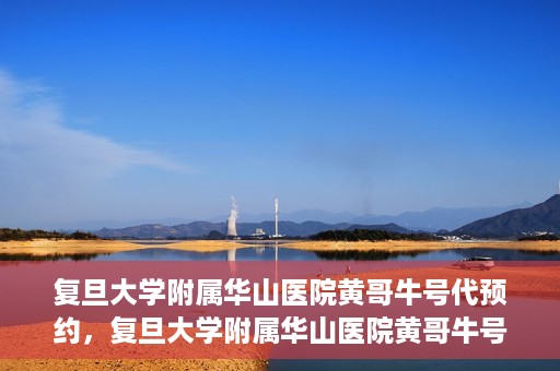 复旦大学附属华山医院黄哥牛号代预约，复旦大学附属华山医院黄哥牛号预约服务解析