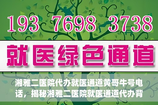 湘雅二医院代办就医通道黄哥牛号电话，揭秘湘雅二医院就医通道代办背后的神秘人物——黄哥牛号电话曝光