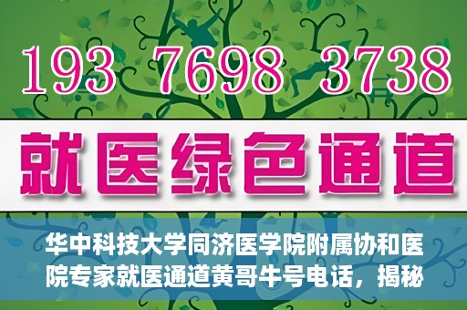 华中科技大学同济医学院附属协和医院专家就医通道黄哥牛号电话，揭秘华中科技大学同济医学院附属协和医院专家就医通道，黄哥牛号电话专线开通