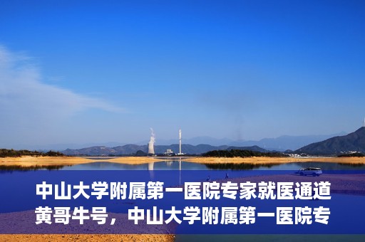 中山大学附属第一医院专家就医通道黄哥牛号，中山大学附属第一医院专家就医通道，黄哥牛号助您轻松挂号就医