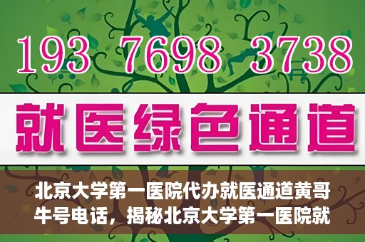 北京大学第一医院代办就医通道黄哥牛号电话，揭秘北京大学第一医院就医通道代办人黄哥牛号背后的故事与真相