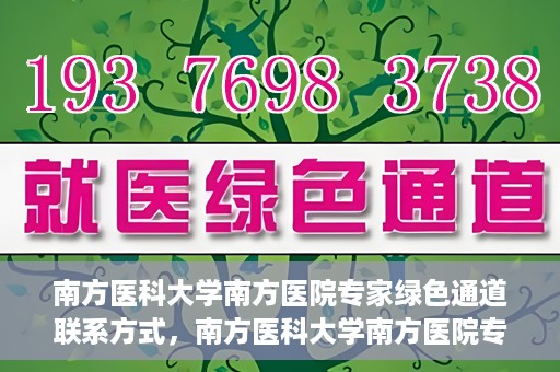 南方医科大学南方医院专家绿色通道联系方式，南方医科大学南方医院专家绿色通道联系指南，一站式解决您的健康咨询需求
