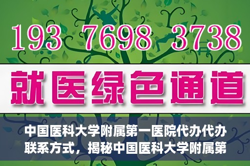 中国医科大学附属第一医院代办代办联系方式，揭秘中国医科大学附属第一医院代办联系方式，权威医疗服务的便捷通道