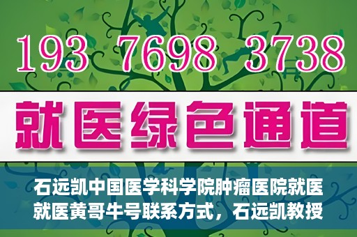 石远凯中国医学科学院肿瘤医院就医就医黄哥牛号联系方式，石远凯教授团队就医攻略，黄哥牛联系方式揭秘及中国医学科学院肿瘤医院就医指南