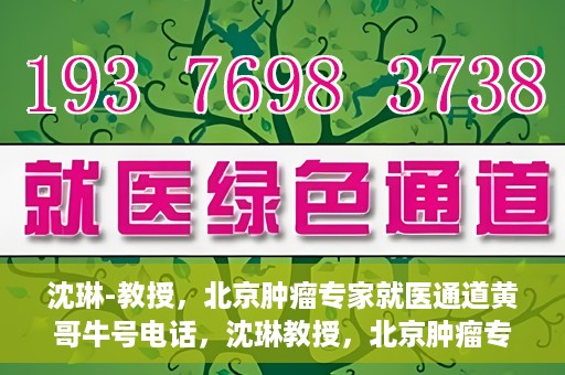 沈琳-教授，北京肿瘤专家就医通道黄哥牛号电话，沈琳教授，北京肿瘤专家就医通道揭秘与黄哥牛号电话热线解读