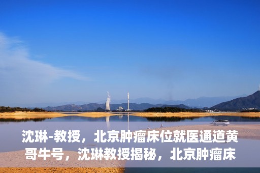 沈琳-教授，北京肿瘤床位就医通道黄哥牛号，沈琳教授揭秘，北京肿瘤床位就医通道黄哥牛号
